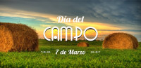 Image of O CAMPO JA FLORIU!
