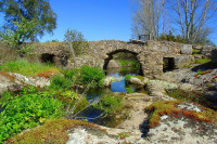 Image of CASTRO LABOREIRO E SEUS FORAIS